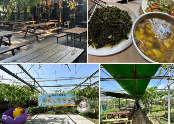 夏日消暑推薦！桃園珍珠海岸清涼農遊 體驗大王蓮水上漂、鮮採瓜果及產地風土餐桌