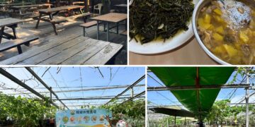 夏日消暑推薦！桃園珍珠海岸清涼農遊 體驗大王蓮水上漂、鮮採瓜果及產地風土餐桌