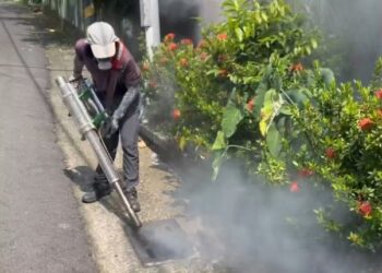 越南返國母女確診登革熱就醫 隱匿旅遊史遭衛生局依傳染病防治法裁罰萬元