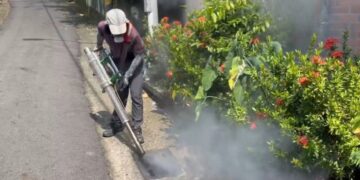 越南返國母女確診登革熱就醫 隱匿旅遊史遭衛生局依傳染病防治法裁罰萬元