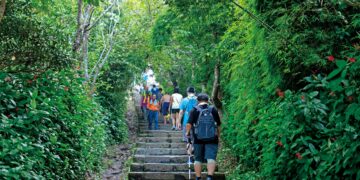 2026觀音觀鷹再觀櫻秋季登場 歡迎遊客走進觀音山感受自然生態之美