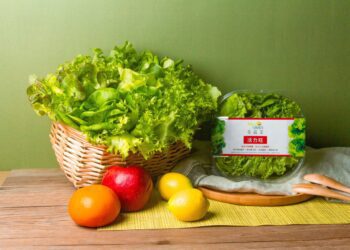 營養師推薦》不用洗＋無土味的生菜！NICE GREEn美蔬菜深受營養師喜愛　滿意度評價高達94分