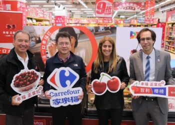 影音/櫻桃正當紅！ 智利水果出口商協會驚喜現身　春節獻禮台灣消費者