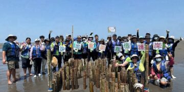 「沙」出重圍、「嘉」倍護岸　嘉義縣攜手各界實作固砂守護外傘頂洲