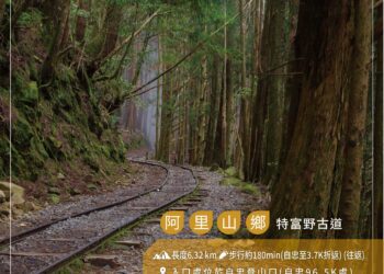 秋遊嘉義阿里山　4大親子步道一次走透透