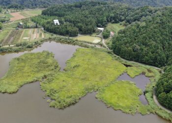 修復古水圳 雙連埤古水圳修復工作假期開放報名