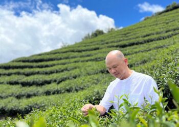 發揮社會責任-茶境天使飄茶香   助伊甸讓愛更近