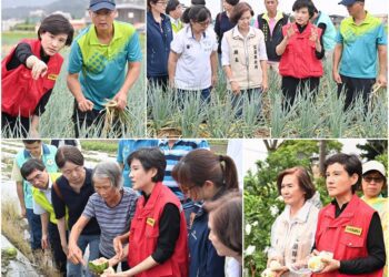 視察宜蘭農損災情 鄭麗君：從寬、從簡、從速 協助農民復耕