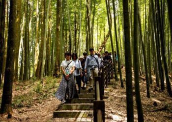 2023草嶺石壁森林療癒祭受矚目　草嶺觀光人次創新高