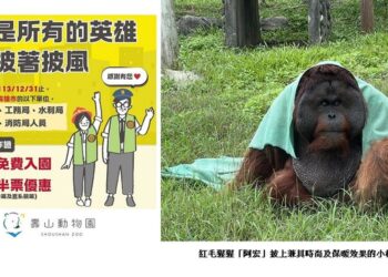 感謝風災救援英雄 壽山動物園暖推憑證年底前免費入園