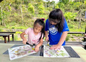 嘉義縣螢火蟲季登場　公興森態園區推出夜間賞螢活動