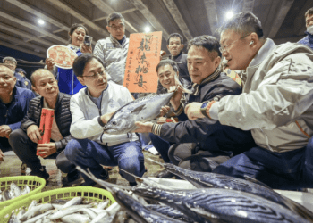 張善政視察桃園魚市場與果菜市場供貨情形  供應充裕讓民眾安心採買過好年
