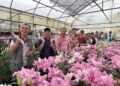 嘉義3社區勇奪金牌農村  樂野、月眉、獅埜挺進全國賽