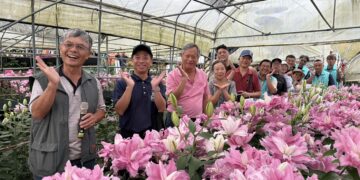 嘉義3社區勇奪金牌農村 樂野、月眉、獅埜挺進全國賽