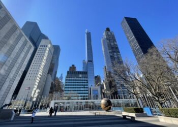 全球專家匯聚UN NGO CSW68紐約論壇   探討文化、性別、物種及數位平權