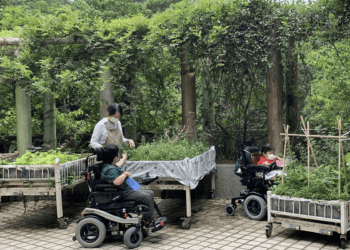 園藝治療改善情緒 八里愛心教養院院生小如勇敢面對挑戰