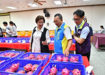 彰化縣優質紅龍果評鑑 共同打造彰化優鮮的品牌口碑