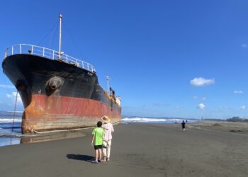 李啟維議員建議政府在颱風天應讓外海貨輪入港避浪