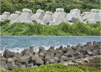 後山小調/「肉粽」消波塊的初始