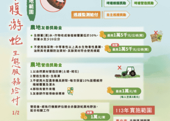 保護赤腹游蛇生態 保育又能領補助