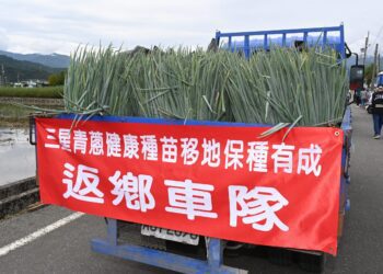 三星青蔥種苗移地種植見成效　確保青蔥產業永續經營