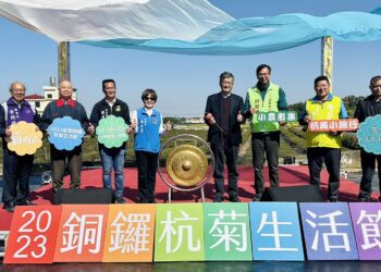 「2023苗栗銅鑼杭菊生活節」登場　賞菊、奉茶、共下坐尞