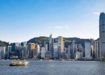 財茂集團周訓財：積極推進產業國際體系建設