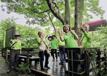 接力櫻花、杜鵑花季 新北桐花祭49場旅程帶你賞花賞到飽 4/10開搶
