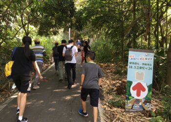 1029世界腦中風日：監控8大危險因子，遠離腦中風