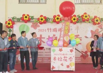 影音/熱氣球快閃木棉道 竹塘木棉花季浪漫登場