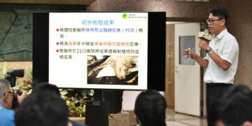 台中梧棲豬隻驗出「非洲豬瘟」陽性 全國豬隻禁運禁宰5天.禁廚餘養豬