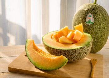 嘉義職人大顯身手　特色農漁產登上國宴餐桌