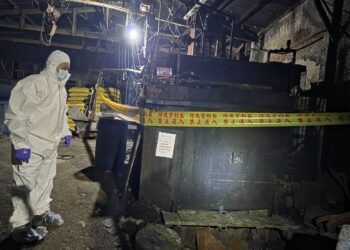 防疫零死角!新北查獲泰山養豬場餵廚餘 全數銷毀嚴防疫病擴散