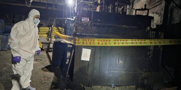 防疫零死角!新北查獲泰山養豬場餵廚餘 全數銷毀嚴防疫病擴散