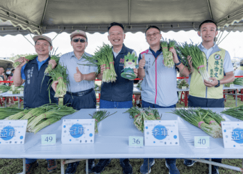 桃園浪漫九月雪 蘇俊賓力推大溪韭菜花季 打造農業新亮點