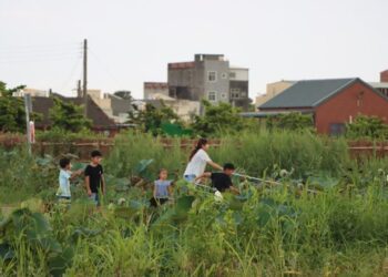 荷開盛夏 椬梧映月塘打造全齡休閒場域，呈現在地風味與自然美景的極致饗宴