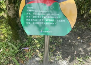 優化美崙山生態園區 縣政府步步 用心營造