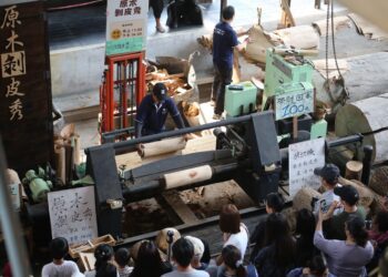 免費也能玩得超有感！南投「木業展示館」掀起暑假家庭熱潮