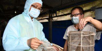 影音/毒蛋事件引發社會高度不安 林世賢推「無毒農業 × 健康蛋認證」政策