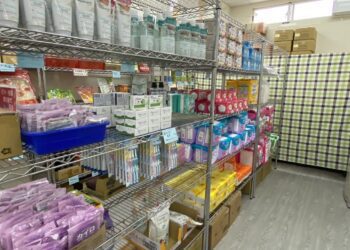 基督教福利會辦家庭照顧者財商培力課程 福利會食物銀行同時喬遷新址