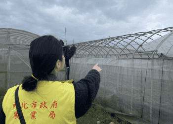 新北災後農業救助啟動 竹筍茭白筍補助申請倒數中