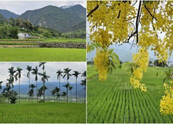 後山小調/大地震後出遊記