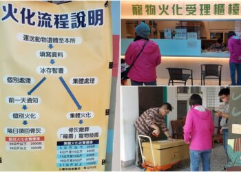 送毛孩最後一程！　焚化處理程序及收費標準報您知