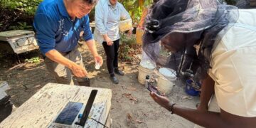 屏科大國際生走進嘉義智慧蜂場　見證科技養蜂新應用