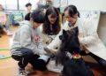 從浪犬到狗老師 打造人與動物共好的療癒藍圖