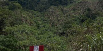 法務部交通專案標9萬起競標 聯合拍賣多筆不動產