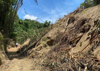 杜絕山坡地違規開發　週報制度上路加速查處