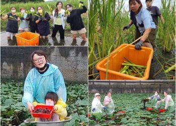 從田間到餐桌　聖母專校幼保食農教育　發現在地好味道