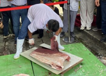 從南方澳到淡水魚市 黑鮪魚解體秀6月6日登場 視覺味蕾雙饗宴
