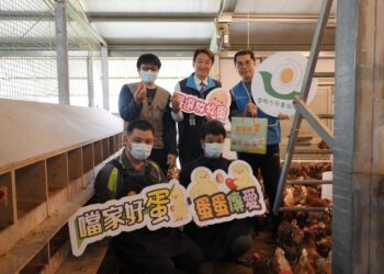 黎明方舟畜牧場蛋庫存逾萬顆 魏嘉賢號召各界採購健康好蛋